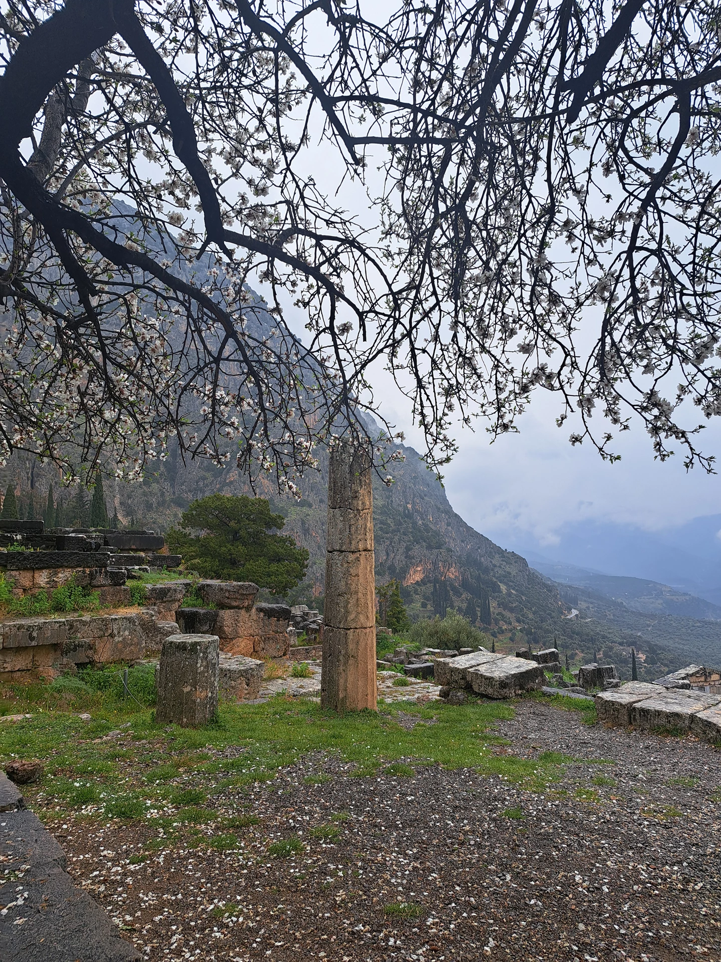 Delphi & Eleusis