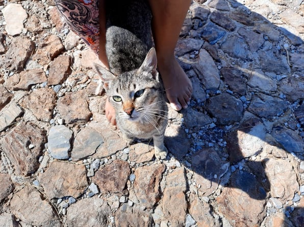 Delphi & Eleusis