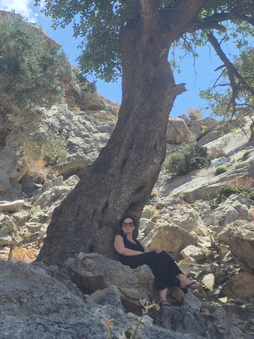 Solstice Sanctuary