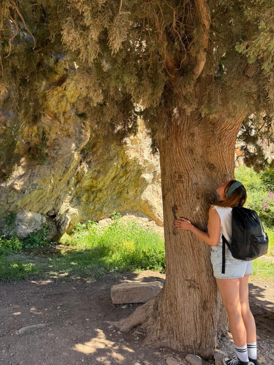 The Delphic oracle tour