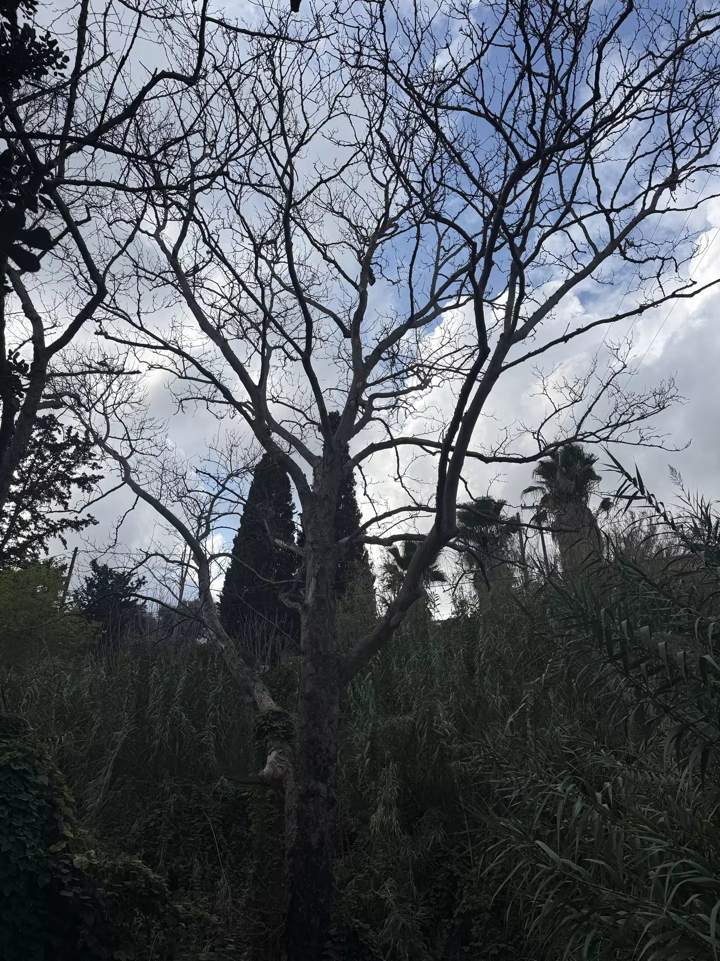 Knossos Valley Hike